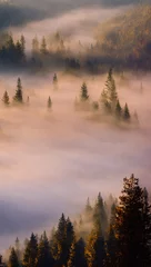 Foto auf Acrylglas Wald im Nebel Nebliger Wald