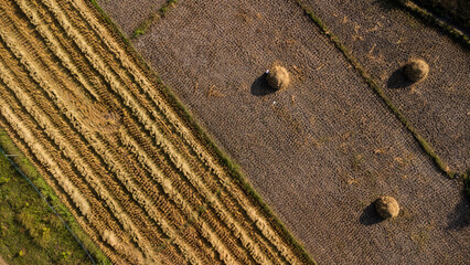 Rice fields after harvesting rice in Thailand. Drone flies over the haystack after the harvest season in the paddy fields. Top view of autumn after harvest with fallen straws in farming village.