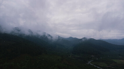 Aerial view of tropical forest with mist in the morning. Top view from drone of beautiful mountain tropical forest during winter in Thailand. Natural landscape background.