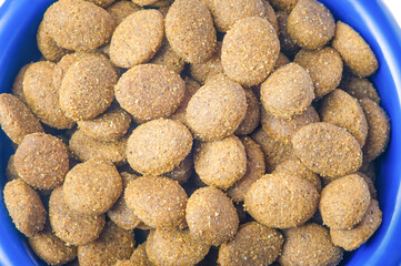 Dry food croquettes for cats or dogs in a blue bowl. Food for animals, pets.