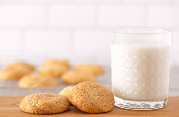 Homemade snickerdoodle cookies with a glass of milk; copy space