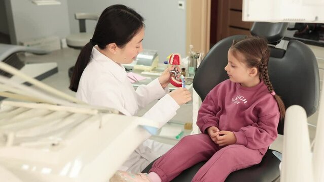Smiling happy child girl with sitting at the dental office and looking at brush, while female young dentist shows how to brush teeth on artificial jaw model.