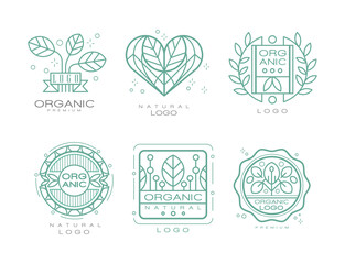 Organic Logo Design with Linear Leaves for Natural Products Vector Set
