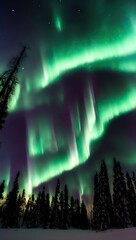 Northern lights