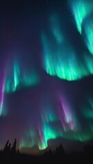 Northern lights