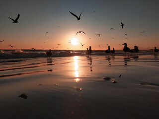 sunset on the beach
