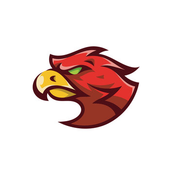 Eagle, falcon or hawk mascot logo design. Bird cartoon illustration