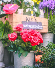 bouquet of roses