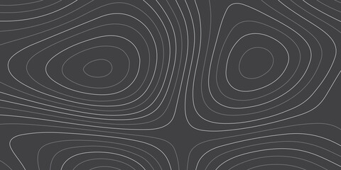 Fototapeta na wymiar The stylized black and white abstract topographic map with lines and circles background. Topographic map and place for texture. Topographic gradient linear background with copy space. Vector