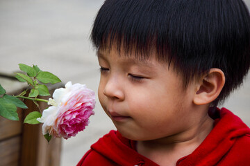 close-up of a boy smell a rose
