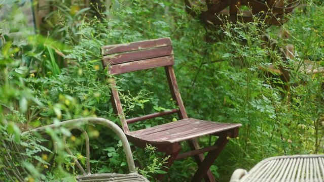 Old wooden vintage chair standing in the middle of bushes in garden