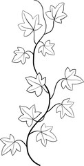 Simplicity ivy freehand drawing