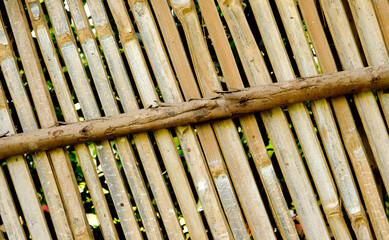 Wood paneling background texture. Modern ecological wooden facade backdrop