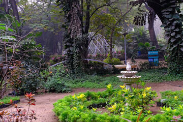 04 December 2022, Pune, India, Empress Botanical Garden, a green paradise in the heart of Pune, There are many rare exotic and indigenous trees are grown and preserved in the garden.