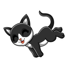 Cute black smoke cat cartoon