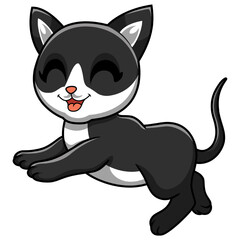 Cute black smoke cat cartoon