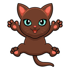 Cute havana brown cat cartoon