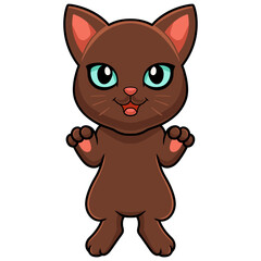 Cute havana brown cat cartoon