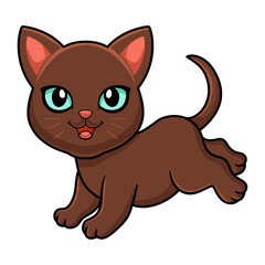 Cute havana brown cat cartoon