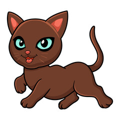 Cute havana brown cat cartoon