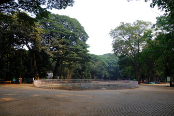 04 December 2022, Pune, India, Empress Botanical Garden, a green paradise in the heart of Pune, There are many rare exotic and indigenous trees are grown and preserved in the garden.