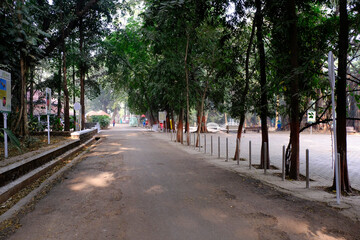 Fototapeta premium 04 December 2022, Pune, India, Empress Botanical Garden, a green paradise in the heart of Pune, There are many rare exotic and indigenous trees are grown and preserved in the garden.