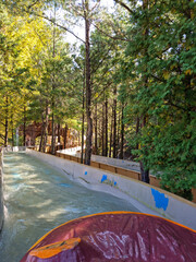 A waterway between the pine forests.