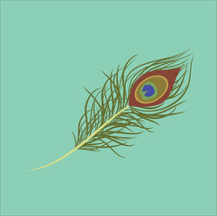 peacock feather illustration line art vector design