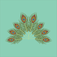 peacock feather illustration line art vector design
