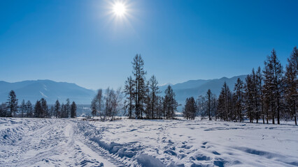 Fototapeta na wymiar The road is trampled in a snow-covered valley. Tire tracks are visible. Coniferous trees and a picturesque mountain range against the blue sky. The rays of the sun are shining. Altai