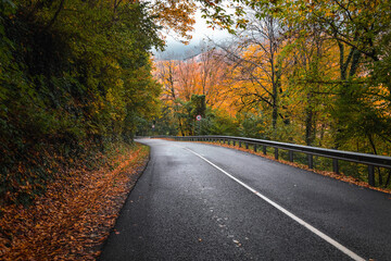 Fototapeta premium An asphalt road with fallen leaves in an autumn forest. Focus on the foreground. The road in the autumn forest. A country road in the autumn in the forest. Highway in the mountains on an autumn day.