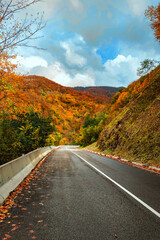 Highway in the mountains on an autumn day among the mountains under a blue cloudy sky. Yellow-orange foliage on trees near the highway. A country road in the autumn in the forest.