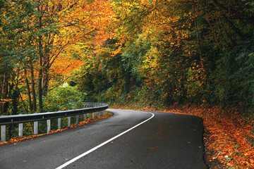Highway in the mountains on an autumn day among the mountains, an empty paved road. An asphalt road with fallen leaves in an autumn forest. Focus on the foreground. Yellow and orange leaves on trees.