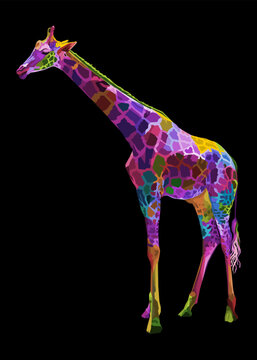 colorful giraffe head isolated on white background.