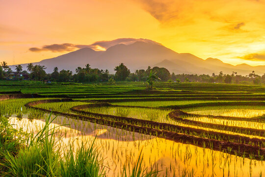 Indonesian landscape in the morning, green rice fields, sunrise brightly over the mountain