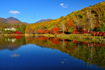 蓼科湖と紅葉　長野県