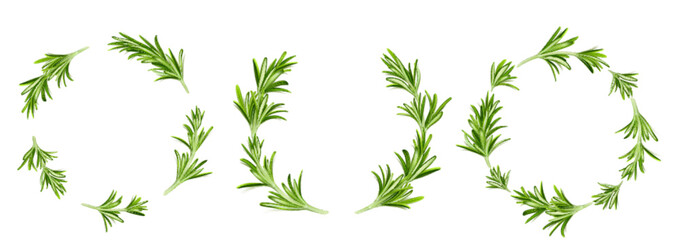 Rosemary round frames, circular border or wreath templates with green stems and leaves of garden plant. Blank vignettes, photo frames isolated on white background, Realistic 3d vector illustration