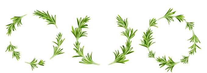 Rosemary round frames, circular border or wreath templates with green stems and leaves of garden plant. Blank vignettes, photo frames isolated on white background, Realistic 3d vector illustration © klyaksun