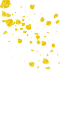 Amber Floral Japanese Vector White Background.