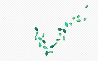 Green Greens Organic Vector Transparent
