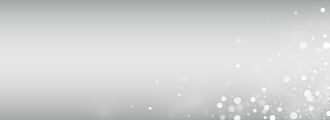 Light Snowfall Vector Silver Panoramic