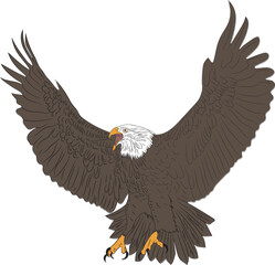 Eagle Art Vector Illustration Drawing for Design