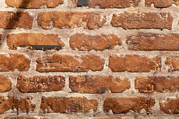 赤いレンガ調の壁