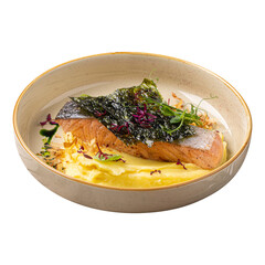 Portion of gourmet salmon fillet with mashed potato