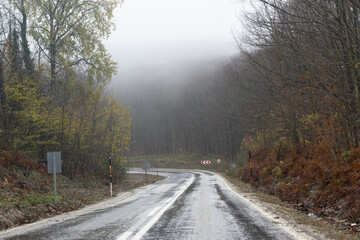 road in autumn