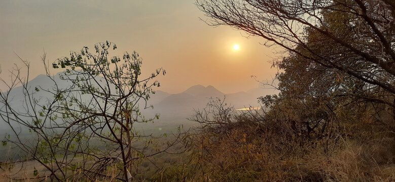 sunset in the forest