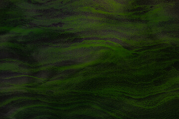 Fototapeta na wymiar abstract green background water surface