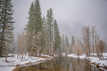 Yosemite National State Park