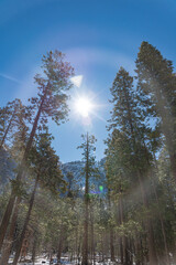 Yosemite National State Park