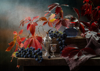 Still life with dark grapes and a branch of wild grapes